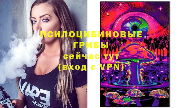 гашик Пролетарск