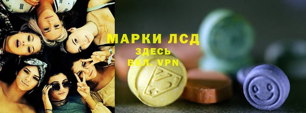 индика Покачи