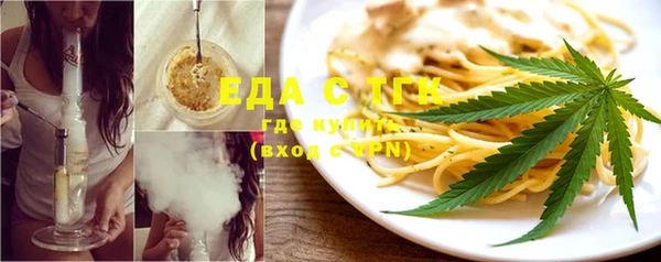 индика Покачи