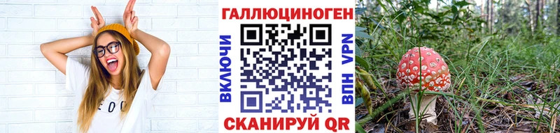 Псилоцибиновые грибы мицелий  Купить где  Коряжма 